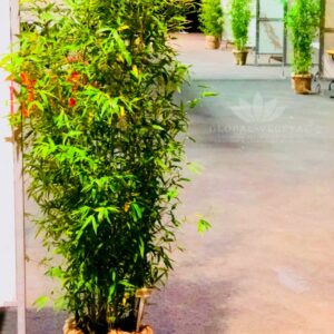 Location de bambous naturels Maine-et-Loire 49