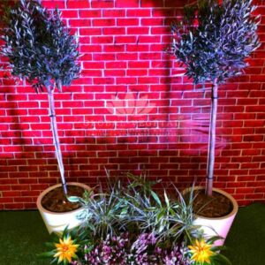 Location de plantes 49