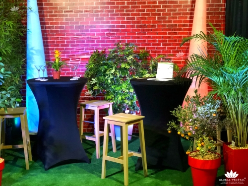 Location de plantes